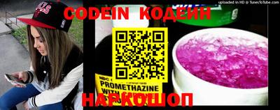 индика Пенза