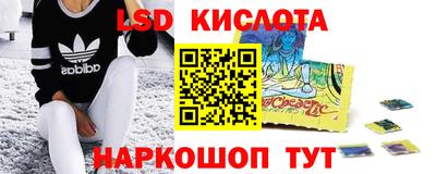 индика Пенза