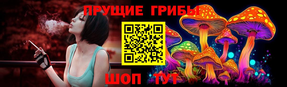 Псилоцибиновые грибы GOLDEN TEACHER  Псилоцибиновые грибы GOLDEN TEACHER  Южно-Сахалинск  Вход с VPN 